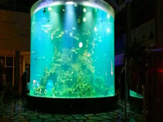 kiina custom halpa super iso pyöreä pmma lasi akvaariot selkeä sylinteri akryyli kala säiliöitä