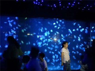 2018 akryyli-meduusat akvaarion säiliön lasi