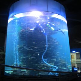 kirkas akryylisylinteri iso akvaario tai akvaariopuisto