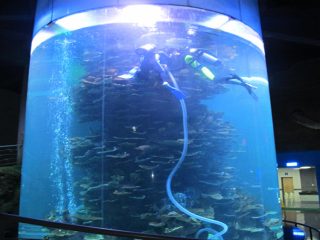 kirkas akryylisylinteri iso akvaario tai akvaariopuisto
