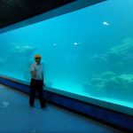 Cast seinä UV akryylilevy akvaario, oceanarium