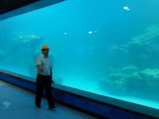 Cast seinä UV akryylilevy akvaario, oceanarium