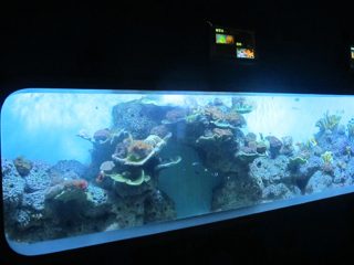 Keinotekoinen valettu akryyli Lieriömäinen Läpinäkyvä kala akvaario / ikkuna