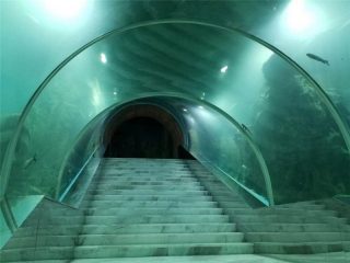 Akryylitunnelin akvaarion hankkeen hinta