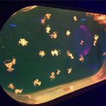 Suuri Fish Tank Akryyli-akvaario
