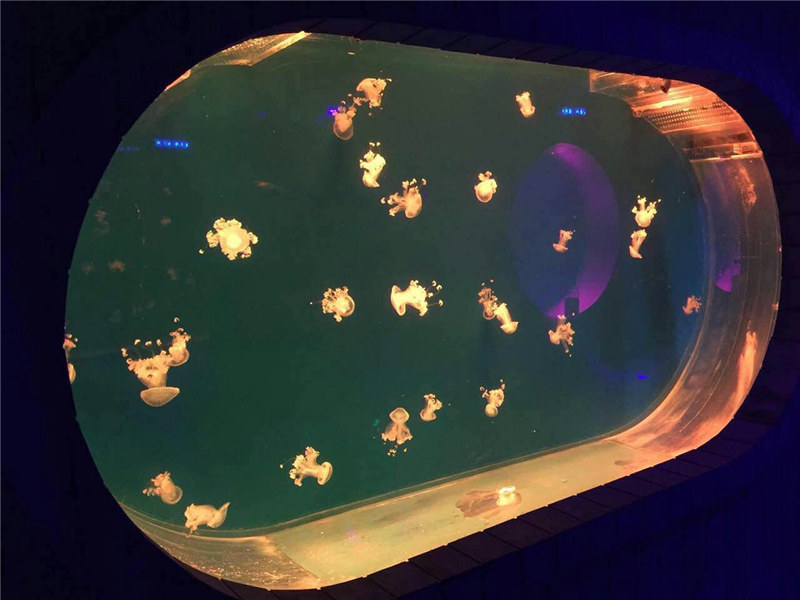 Suuri Fish Tank Akryyli-akvaario