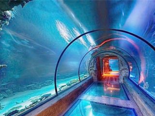 Modern design akryyli akvaarion pitkä tunneli