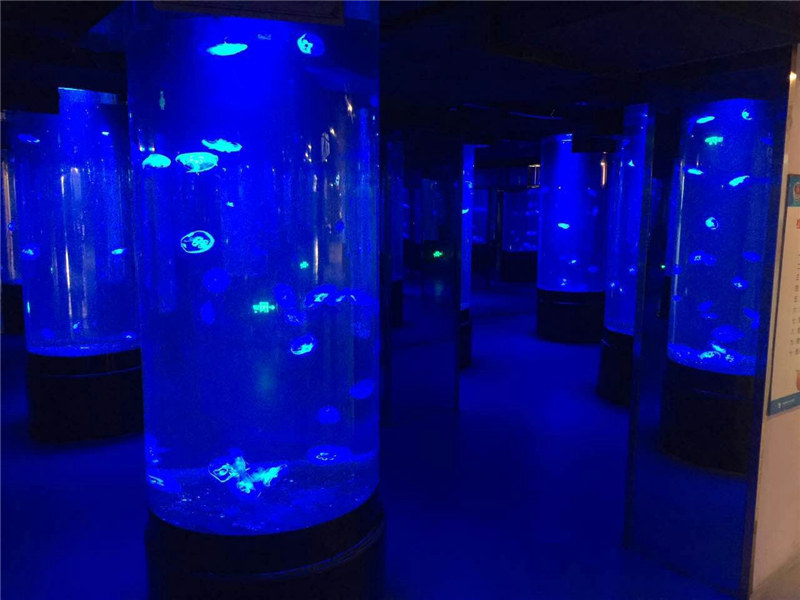 akryyli-meduusat akvaarion säiliön lasi