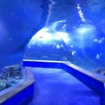 läpinäkyvä akryylilasi Tunneliakvaario