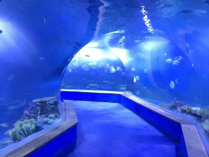 läpinäkyvä akryylilasi Tunneliakvaario